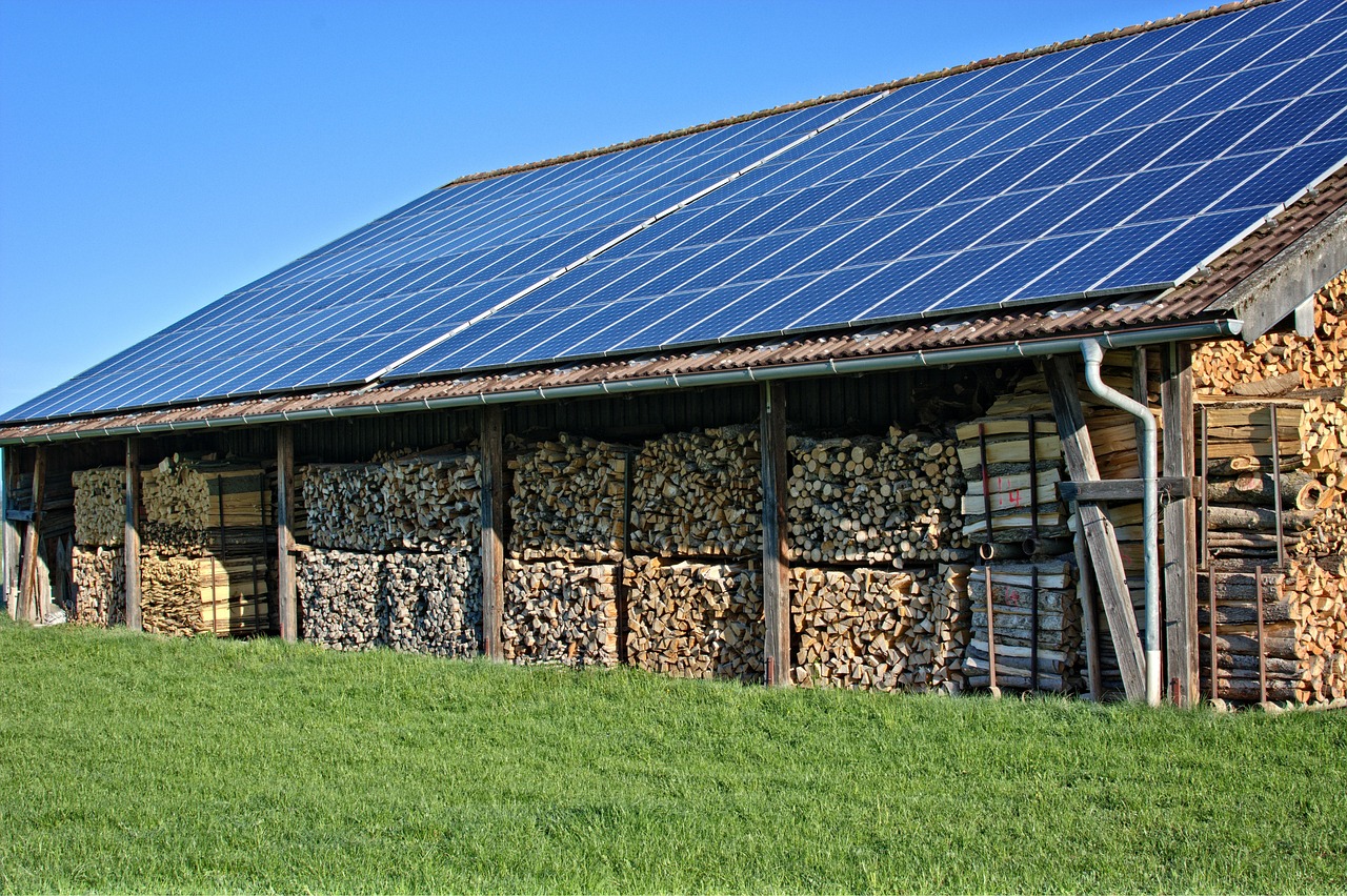 Cloudy Tuesday, Small Solar, and the Neighbour Who Swears the Deer Ate His Tomatoes